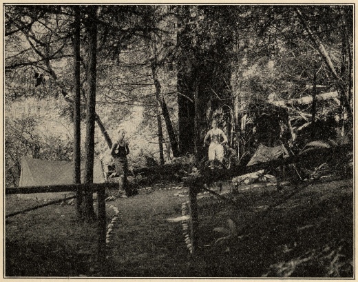 Under the Redwoods at Gualala Camp