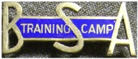 Training Camp Pin, c 1918, Image Courtesy of the Adam Lombard Camp Collection