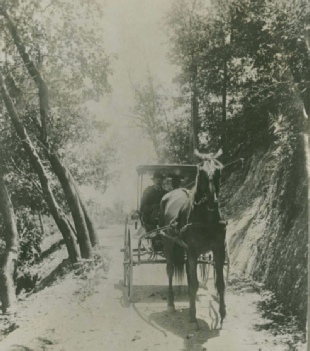 Dr. Alexander Warner driving horse drawn carriage through Warner Canyon. 