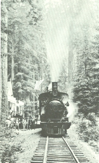 Northwestern Pacific train at Elim Grove dropping off passengers and Scouts, c 1920