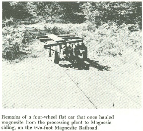Two-foot gauge railway that ran along East Austin Creek and through camp