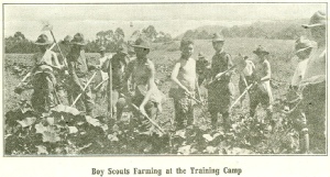 The Scouts learned farming techniques at the training camp